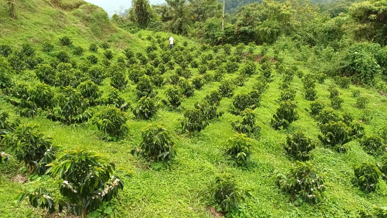 Riosucio, Caldas, Colombie