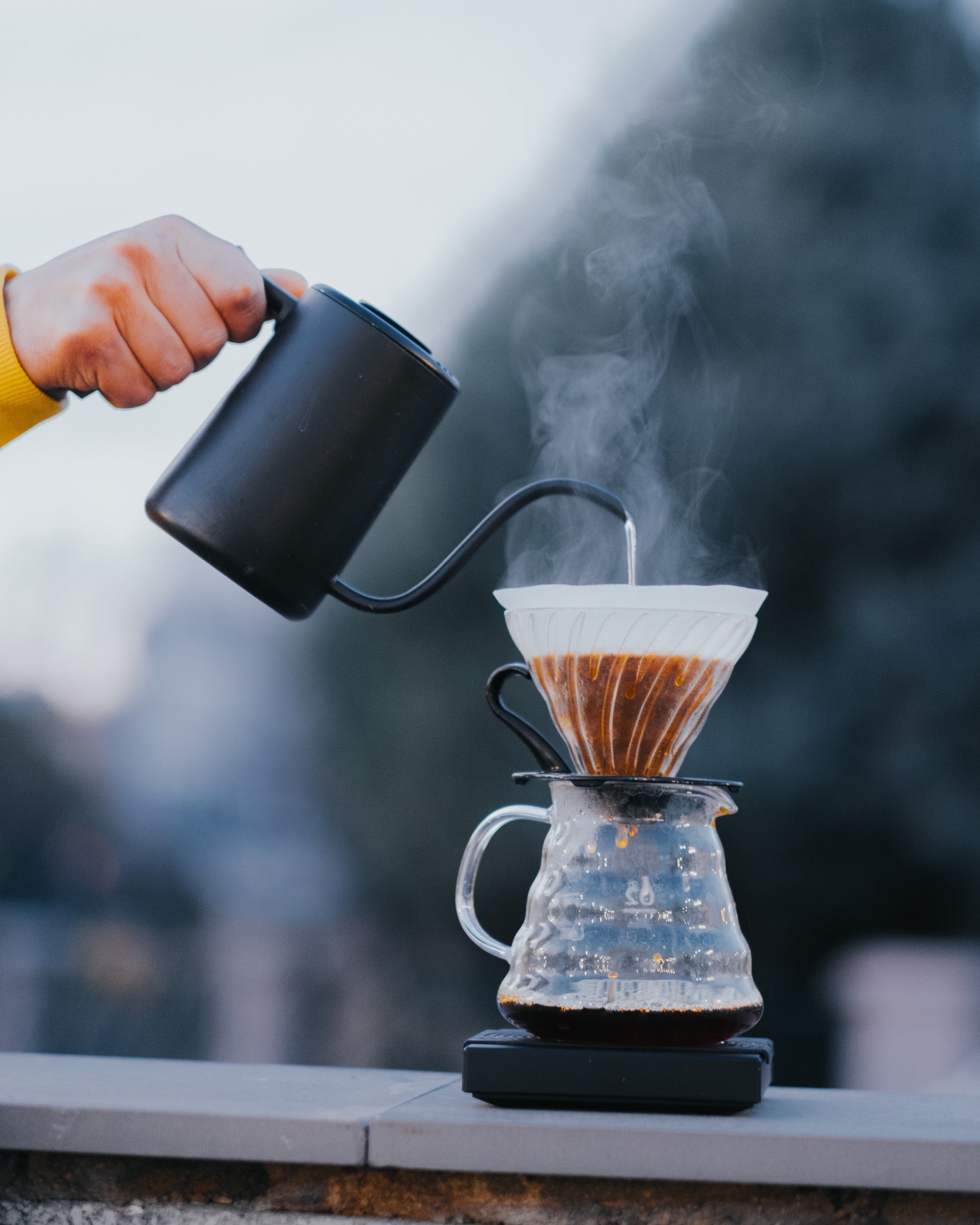 Extraction filtre — l'un des gestes qui libèrent l'arôme